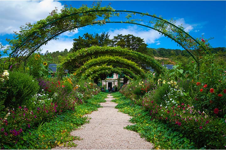 edging garden